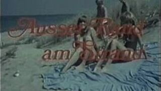 Two couples outdoor fucking - porn video